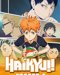 Phim Haikyu – Chàng khổng lồ tí hon (Phần 2) data-eio=