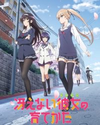 Saekano: Phương pháp đào tạo bạn gái