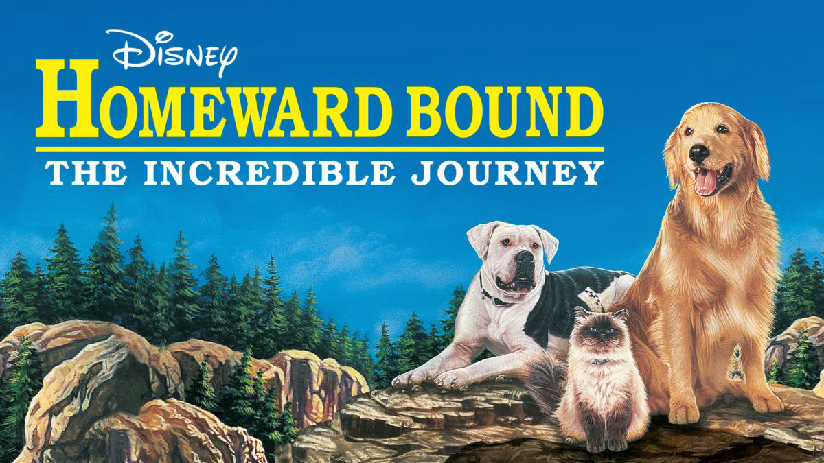 Phim Homeward Bound: The Incredible Journey