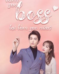 Làm Sao, Boss Lại Làm Sao Nữa