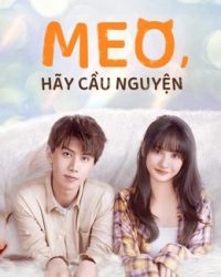 Phim Meo, Hãy Cầu Nguyện data-eio=