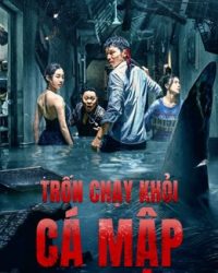 Trốn Chạy Khỏi Cá Mập