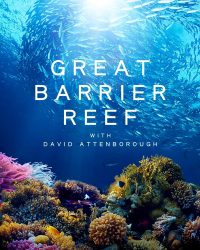 Phim Khám Phá Rạn San Hô Great Barrier cùng David Attenborough data-eio=