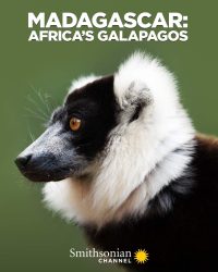 Madagascar: Africa’s Galapagos