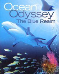 Ocean Odyssey: The Blue Realm