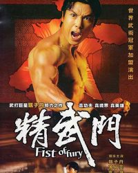 Fist of Fury